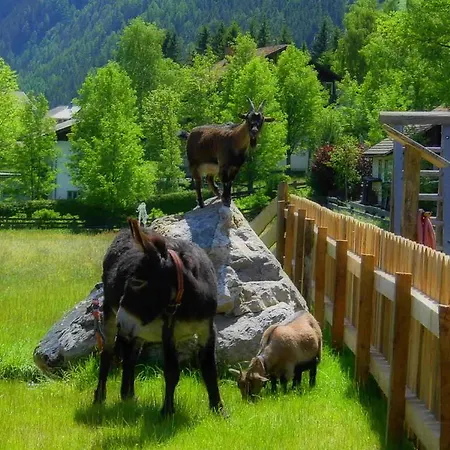 Gasthof Königshof Mallnitz