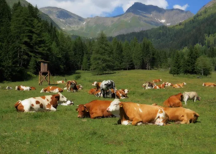 Maison d'hôtes Konigshof Mallnitz