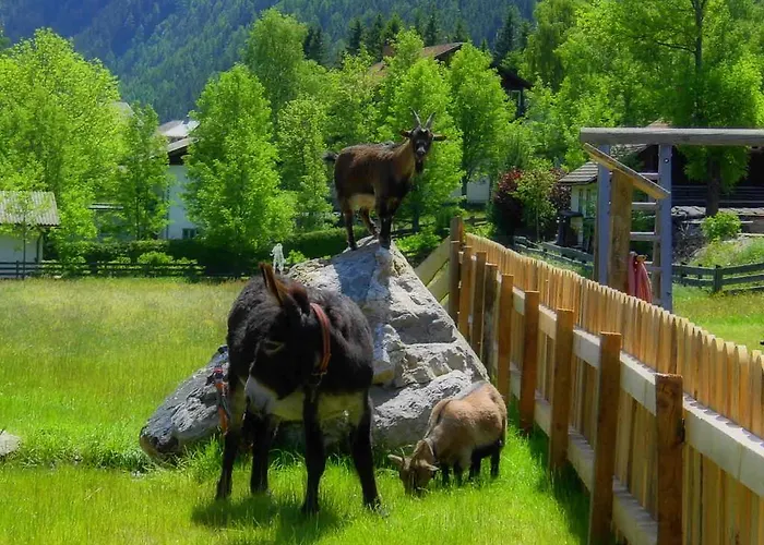 Maison d'hôtes Konigshof Mallnitz